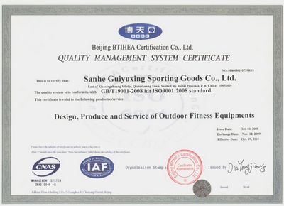 ISO 9001—质量安全体系认证